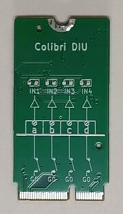 Colibri diu-1.jpg
