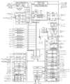 Thumbnail for version as of 05:44, 1 September 2024